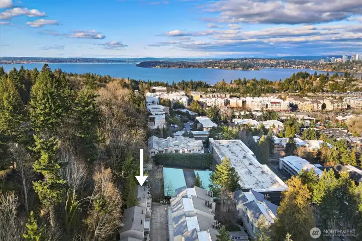 Unbeatable location close to Met Market, Macrina Bakery, trails, Luther Burbank Park, and light rail opening in March!