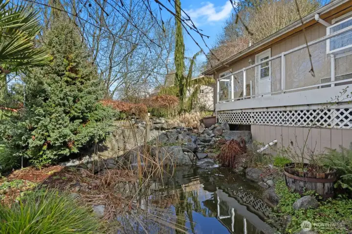 Koi pond with waterfall feature.