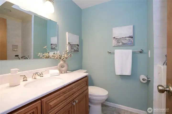 Downstairs bathroom with walk in bathtub