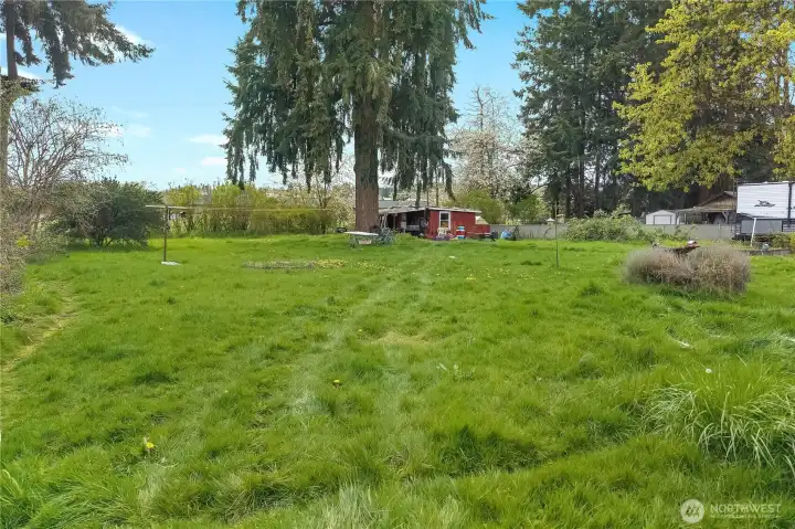 Back yard, fully fenced