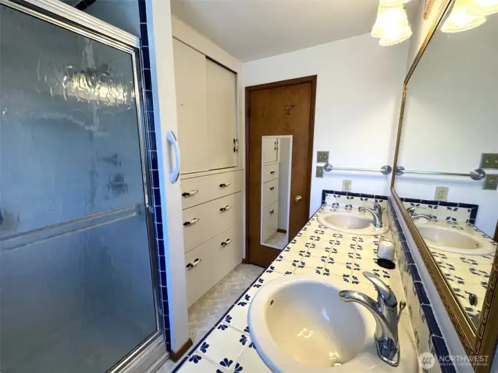 Main bath shower. SO much storage in this room--check out the secret tray above the first drawer in the vanity.