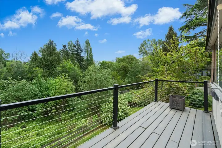 Upstairs Deck Off Kitchen Overlooking Greenbelt