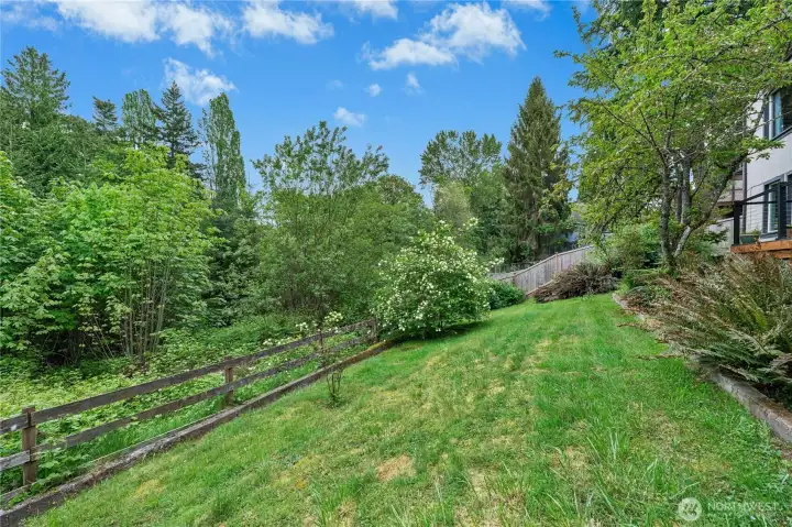 Huge Backyard