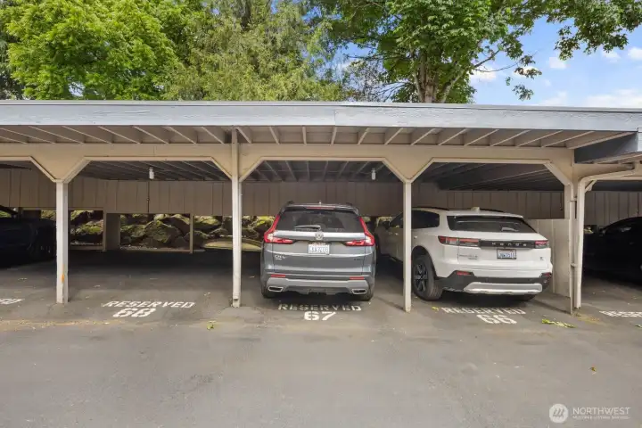 Parking #67 Parking #67