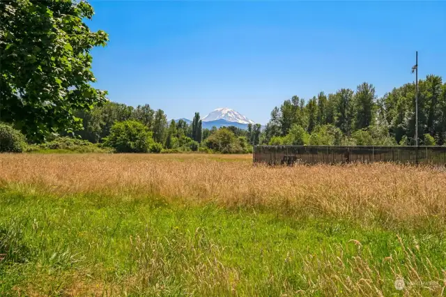 Stunning Mt. Rainier View