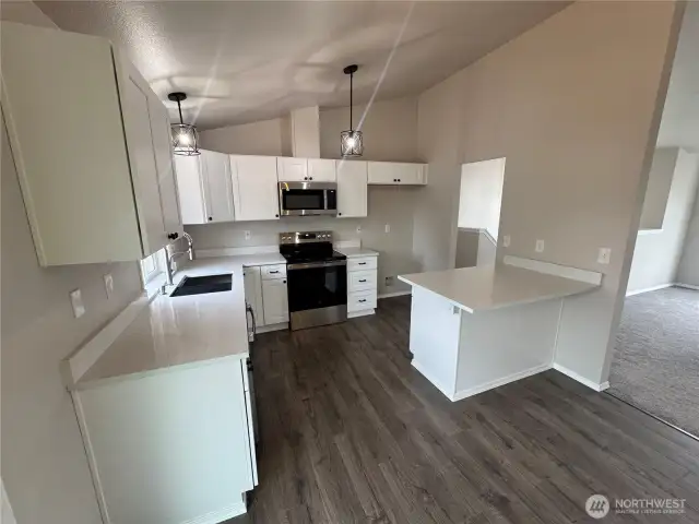 Kitchen 1