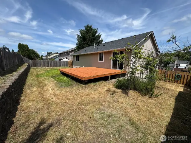 Backyard 2