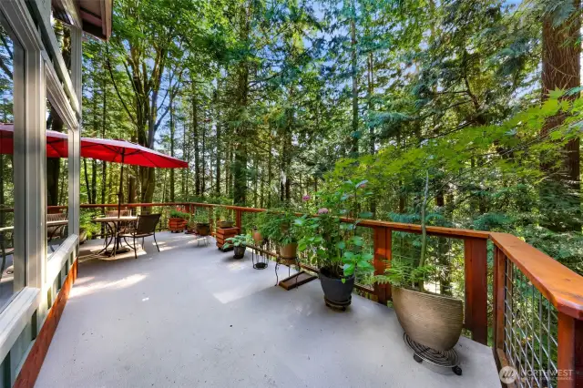 The upper deck located off the dining room