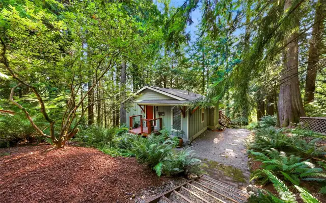 Side yard access from driveway