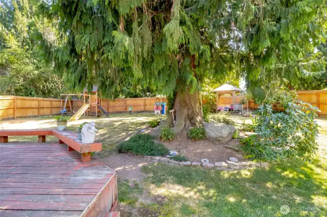 Large back patio/back deck