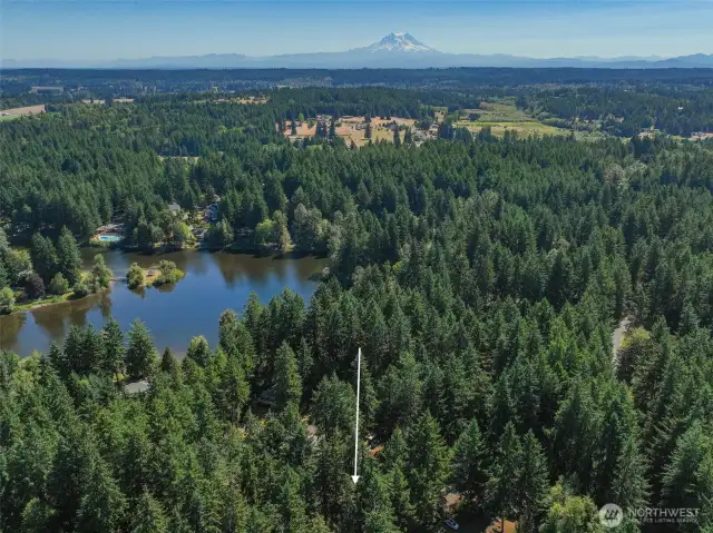 Aerial view of community and surrounding area.