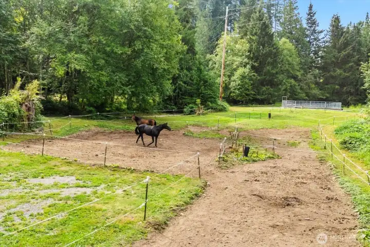 2 grass pastures with hot tape and water spigots