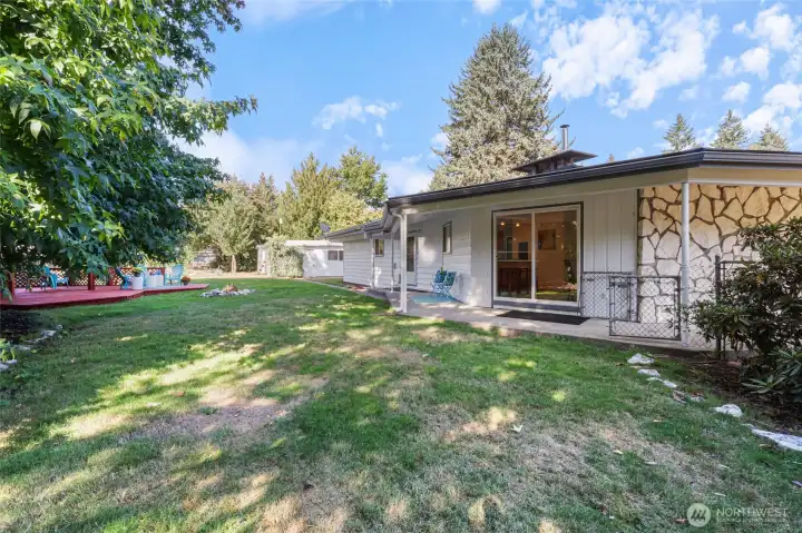 Many fruit trees, grape arbor, backyard completely fenced.