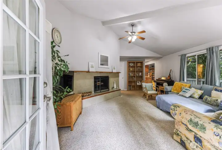 Airy living room with vaulted ceiling and a woodland view.