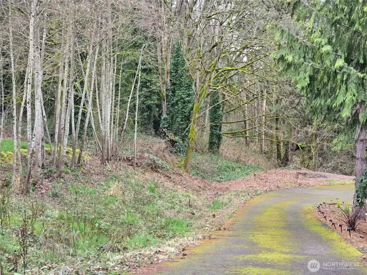Walk straight ahead staying on the LEFT side of this joint access and walk into the ivy, trees and look for Landman sign on tree.