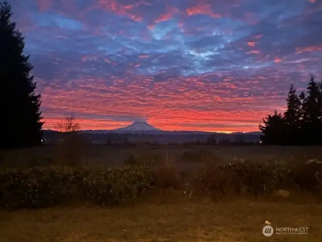 Wake up to this in the morning on your back deck.