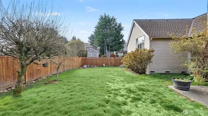 Large lawn area with plenty a room for all your home activities. **Image is Digitally Enhanced**