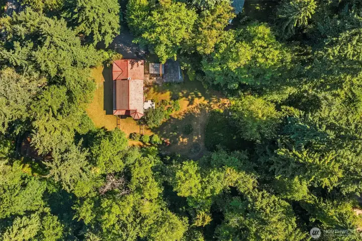 Home is in a sunny and bright clearing surrounded by native trees and shrubs for a feeling of privacy and seclusion.