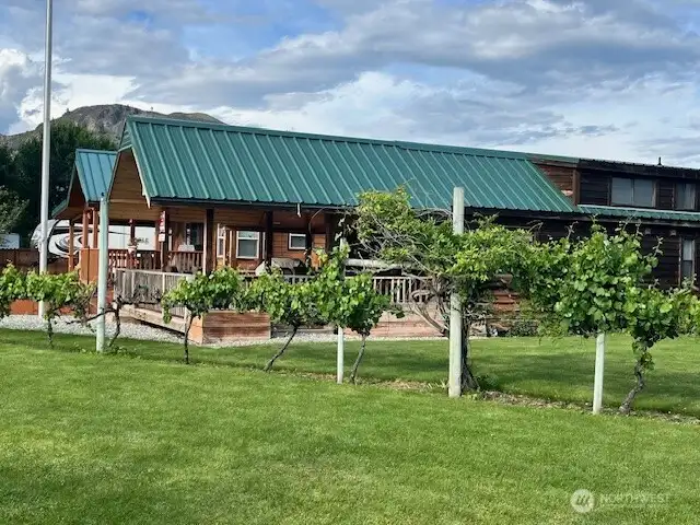 GRAPE VINEYARD