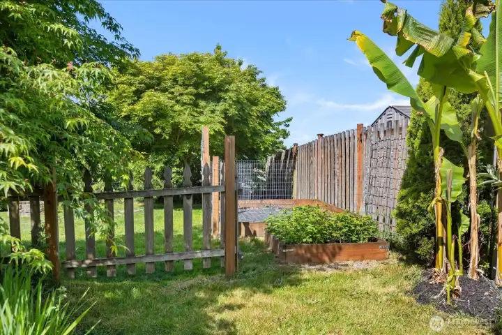 Plenty of room for gardening here.