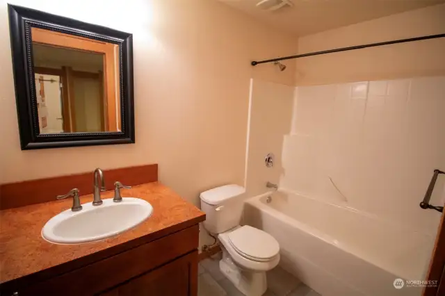 lower level bathroom