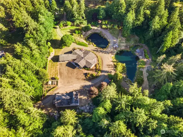 Aerial view of the property.  There's complete privacy and trees yet abundant sunlight.