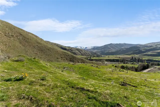 Verdant view.