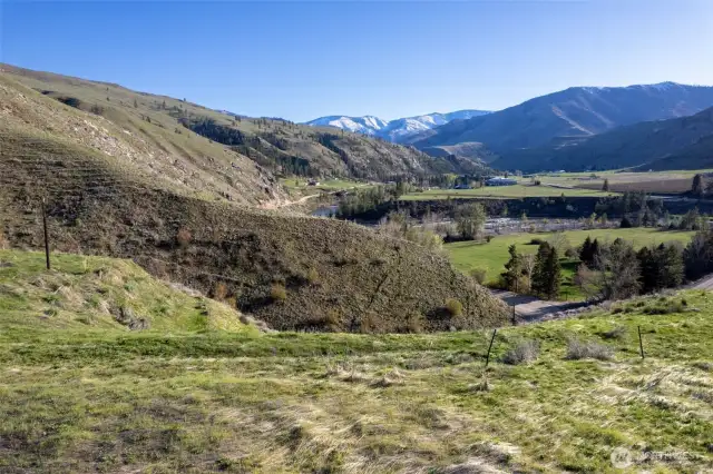 Variety in landscape of this property.