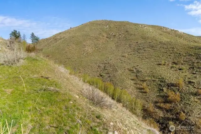 Contrasting landscape is fun to hike on and explore.