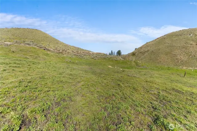 Hike, walk, run, ski, bike or ride!