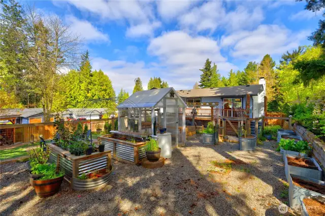 Greenhouse and raised beds are prepared for your choice of plants.