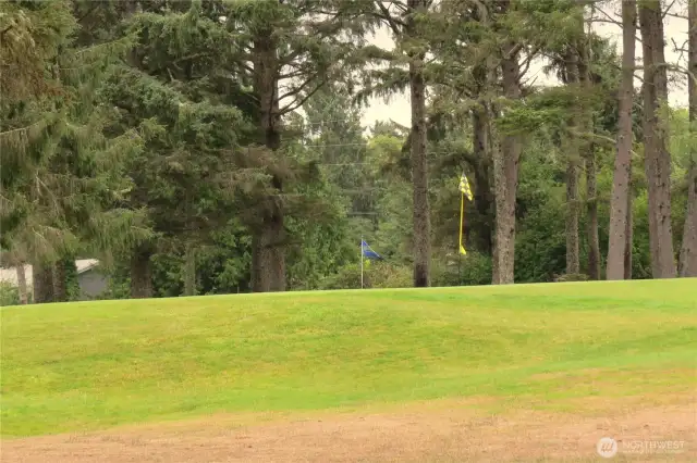 FIFTH GREEN!