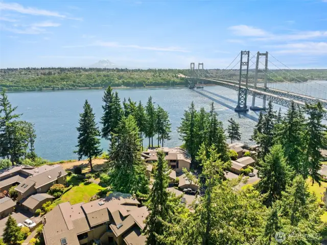 Bridge view