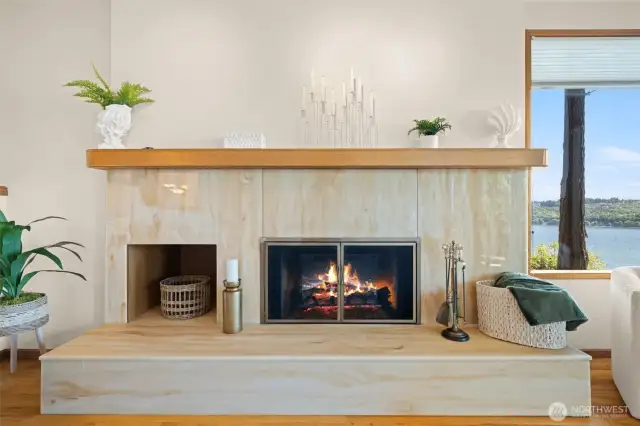 Electric or Wood fireplace