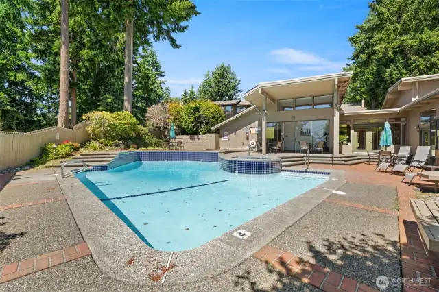 Pool and jacuzzi