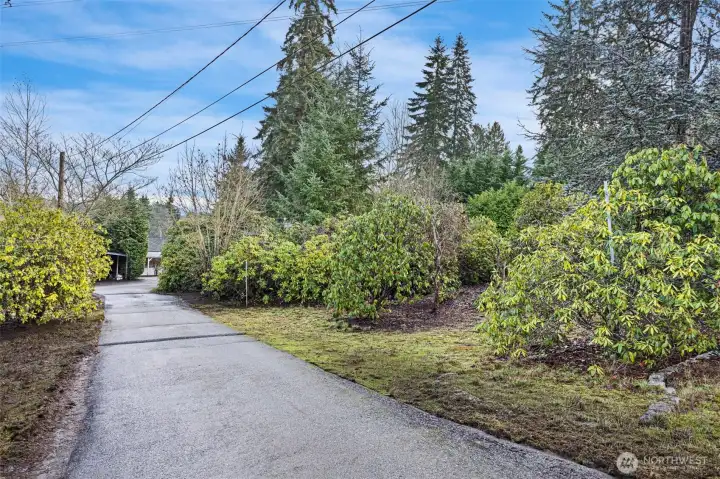 Long driveway gives a lot of privacy to the home and the  rhododendrons are amazing in the Spring and Summer time
