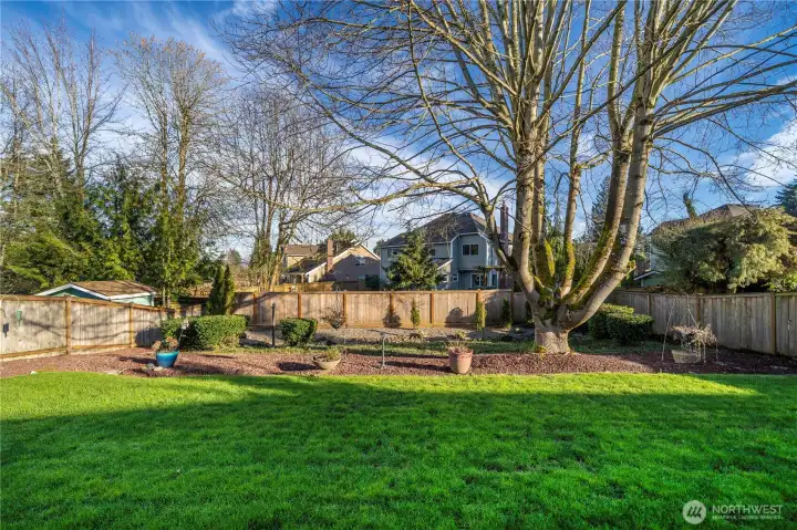 Fully Fenced and Nicely Manicured. So much room to roam, play, and garden. A peaceful retreat right at home.