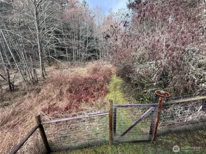 Yard immediately around the house is fenced and gated.