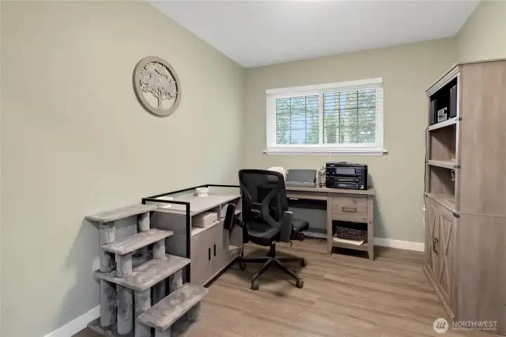 This secondary bedroom is being used as an office, but has plenty of space for a bedroom, or?