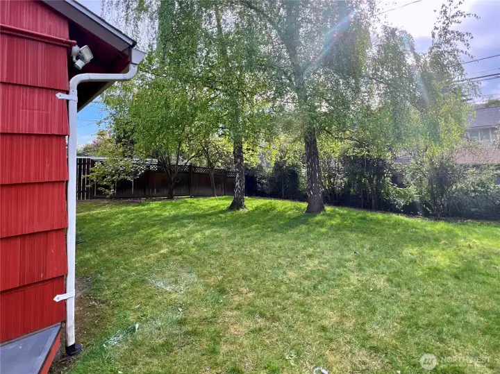 The completely fenced back yard is so enjoyable there are nesting birds.