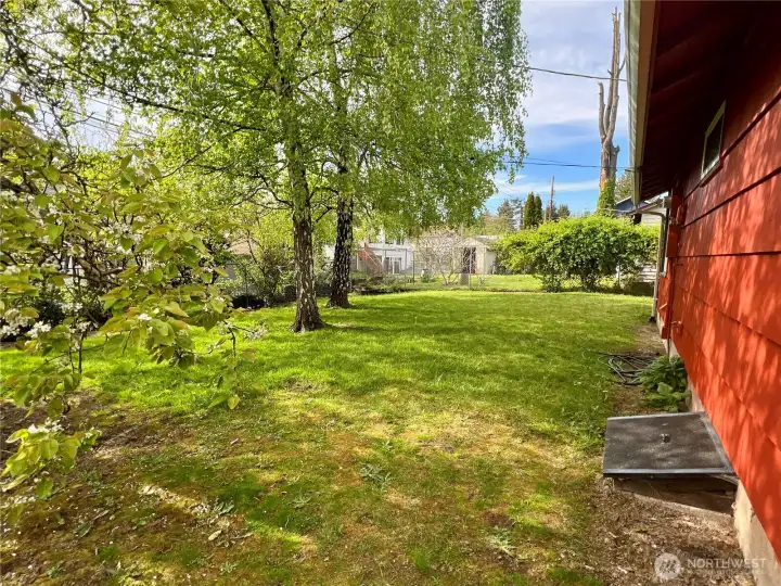 Birch, Plum and Asian Pear trees shade the yard from the summer sun.
