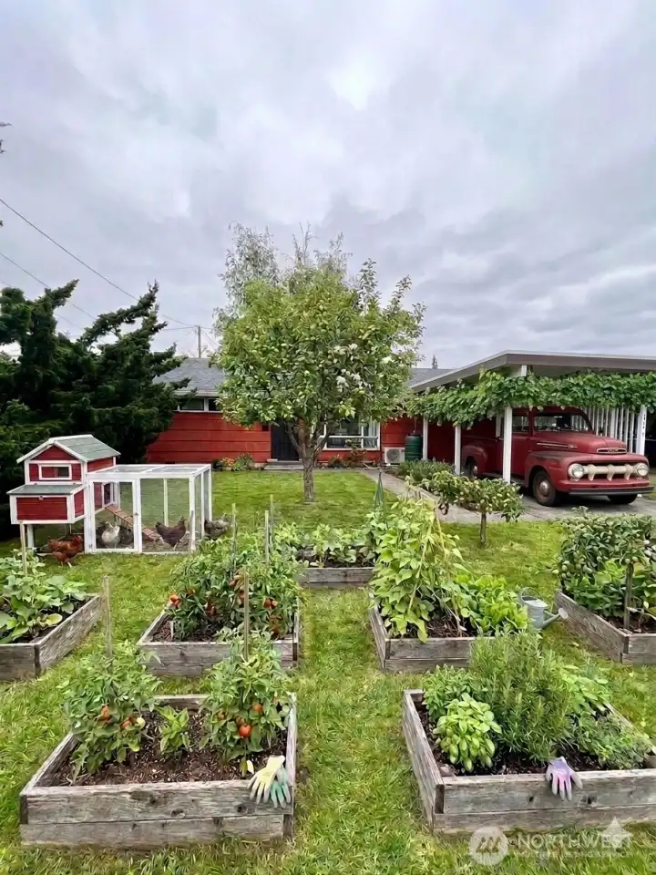AI genrated photo of a food producing front yard. So many possibilities here.