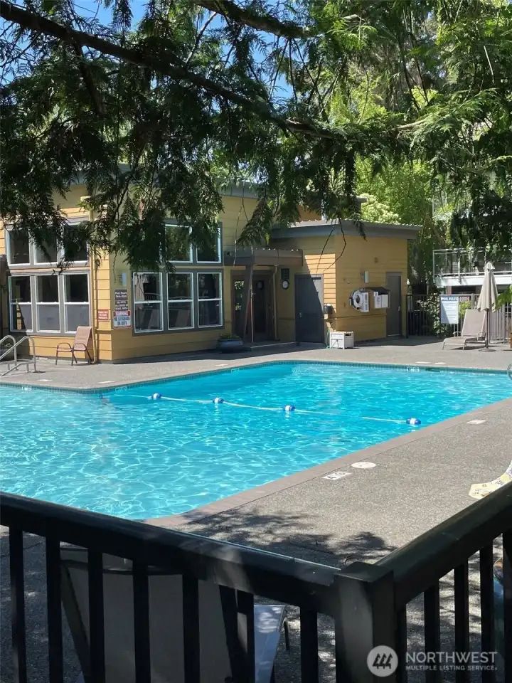 Gorgeous Sequoyah Pool is Open! Gorgeous Sequoyah Pool is Open!