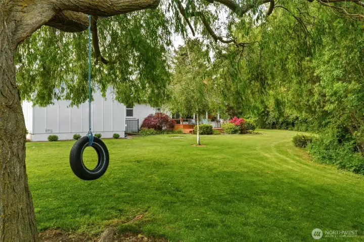 Come swing.
