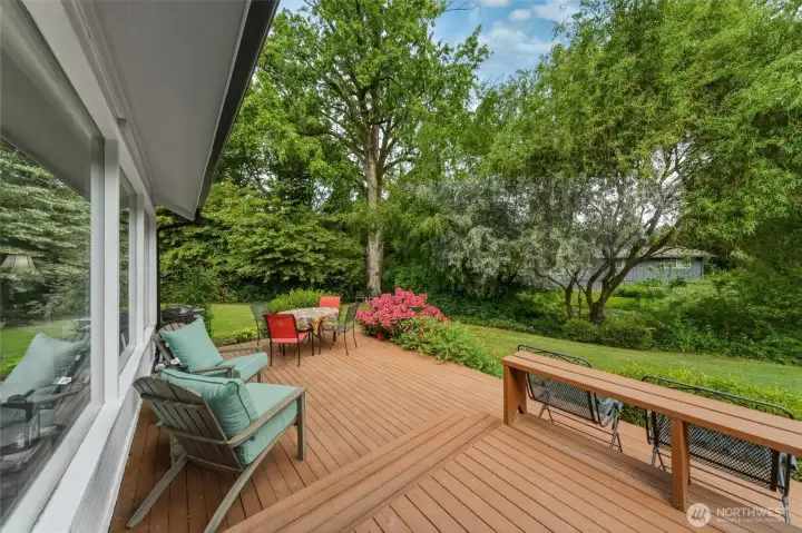 Backyard deck