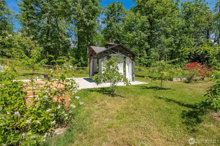 fruit trees and raised garden bed w/ lots of sun fruit trees and raised garden bed w/ lots of sun
