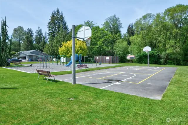 Basketball and pickle ball court.