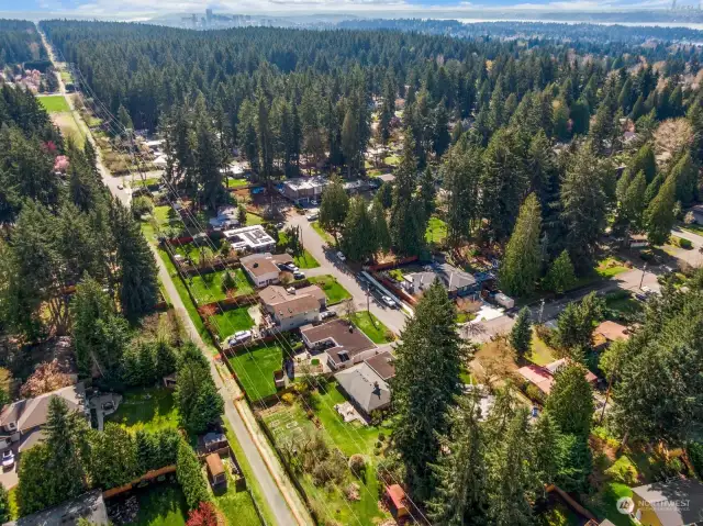 Bridle Trails park in background.  That's Downtown Bellevue at the top of the pic.