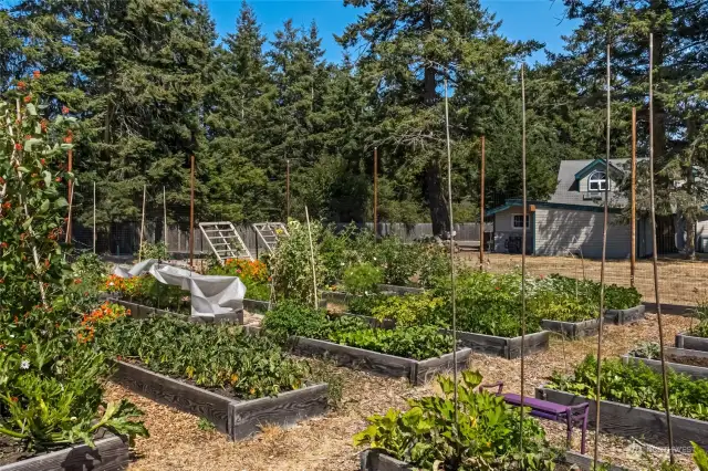 Community Garden