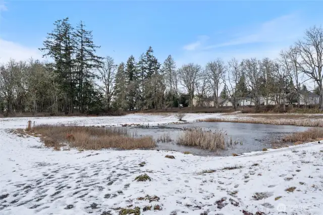 3 community parks, basketball court and beautifyl pond reside within Wyhndam Ranch.